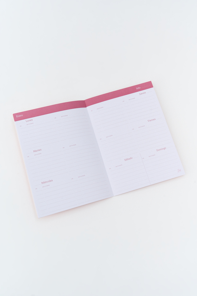 AGENDA 12 CAPITULOS 15X21 DIARIA 2026 FW