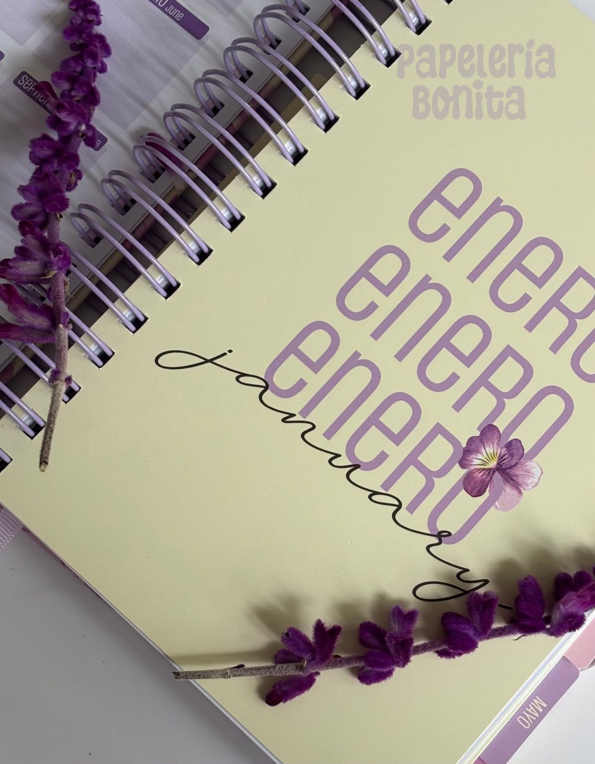 Agenda Blossom 2027 Ibi Craft