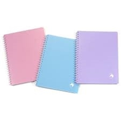 Cuaderno A5 Caballito 80H con separadores
