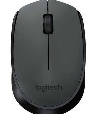 Mouse Logitech M170