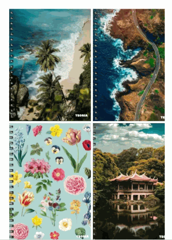 Pack X4 Cuadernola Teoría Súper Tapa Dura 200 Hojas surtido