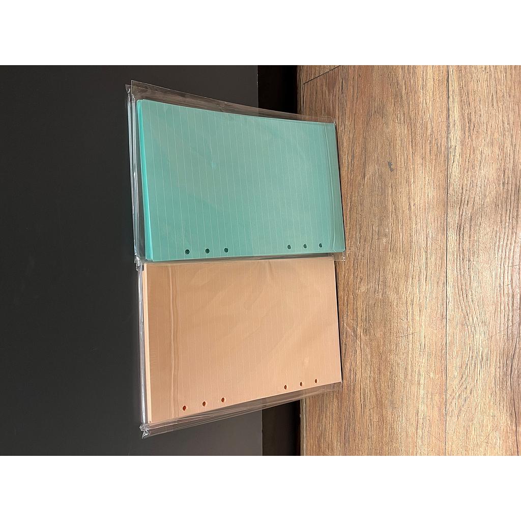 Repuesto hojas a5 para carpeta c/anillos