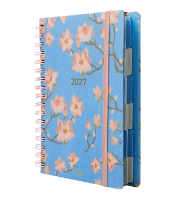 Agenda Mooving Cerezo 2027 diaria